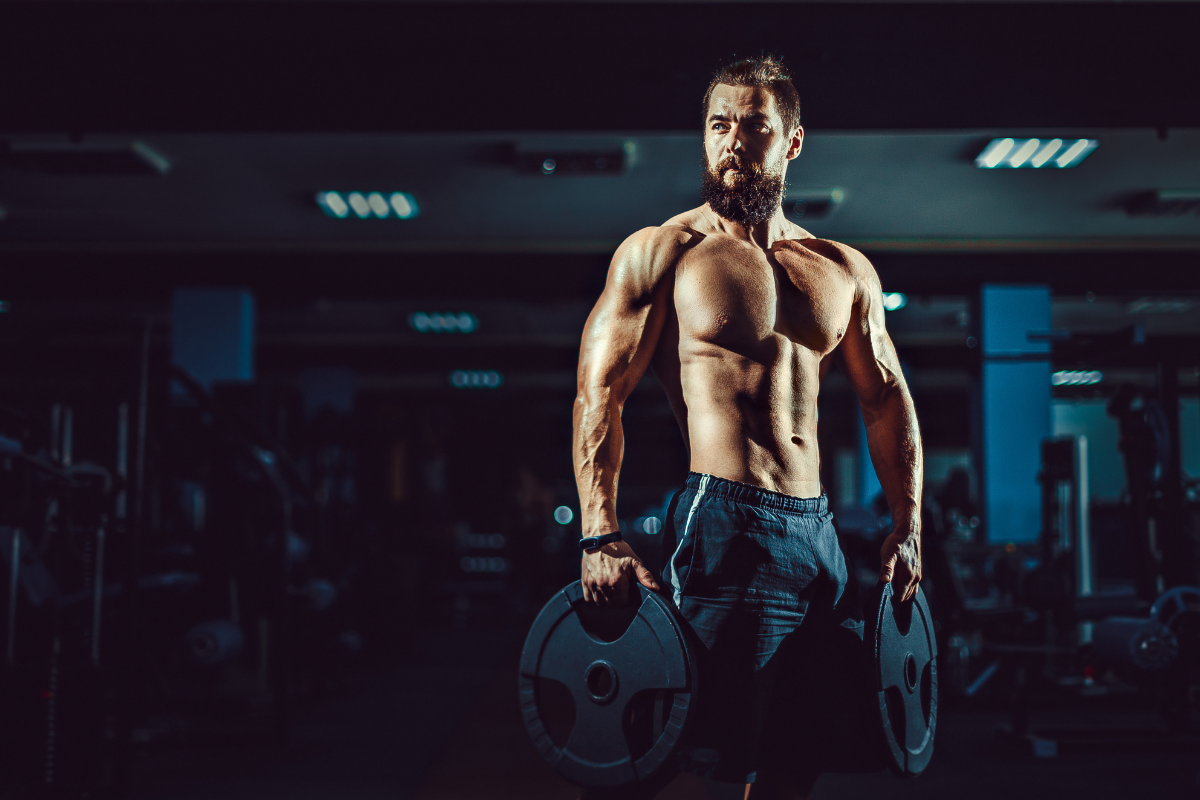 como ganhar massa muscular