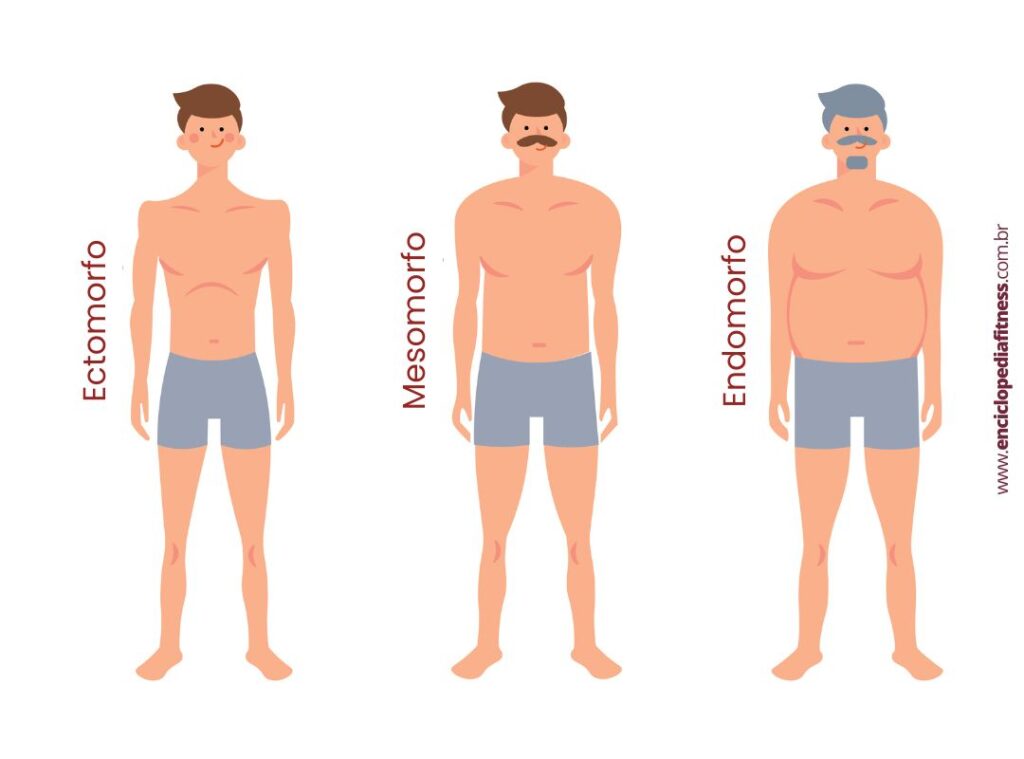 endomorfo mesomorfo e ectomorfo